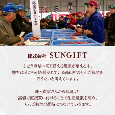 高山村 【2026年先行受付】日本で最も美しい村ー信州高山村ー　旬のりんご約5kg入り【訳あり品】