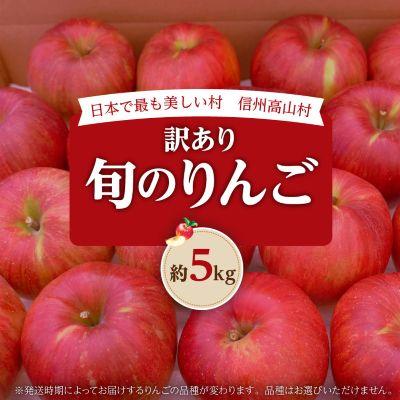 高山村 【2026年先行受付】日本で最も美しい村ー信州高山村ー　旬のりんご約5kg入り【訳あり品】