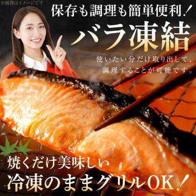 ふるさと納税 気仙沼市 訳あり 鮭 切身 約2kg [宮城東洋 宮城県 気仙沼市 20564991] サーモン
