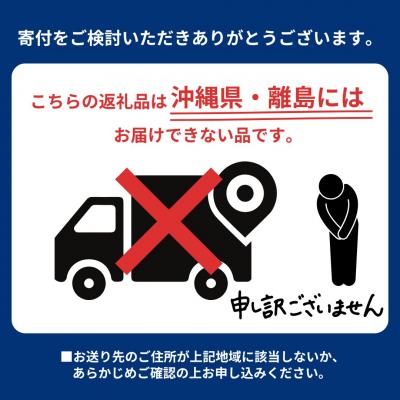 ふるさと納税 三条市 先行受付 和梨 豊水 自家用 5kg  [三条果樹専門家集団] 【010P055】