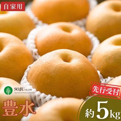 ふるさと納税 三条市 先行受付 和梨 豊水 自家用 5kg  [三条果樹専門家集団] 【010P055】