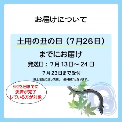 ふるさと納税 境町 【土用の丑の日までにお届け】 国産 うなぎ 蒲焼 2尾 350g以上 鰻 蒲焼き うなぎ蒲焼 丑の日