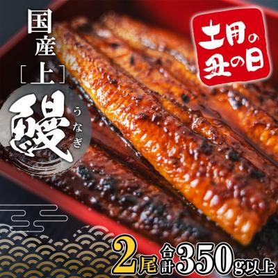 ふるさと納税 境町 【土用の丑の日までにお届け】 国産 うなぎ 蒲焼 2尾 350g以上 鰻 蒲焼き うなぎ蒲焼 丑の日