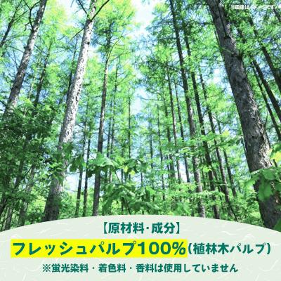 ふるさと納税 甲佐町 ティッシュペーパーソフトパック　400枚(200組)60パック