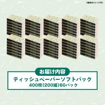 ふるさと納税 甲佐町 ティッシュペーパーソフトパック　400枚(200組)60パック